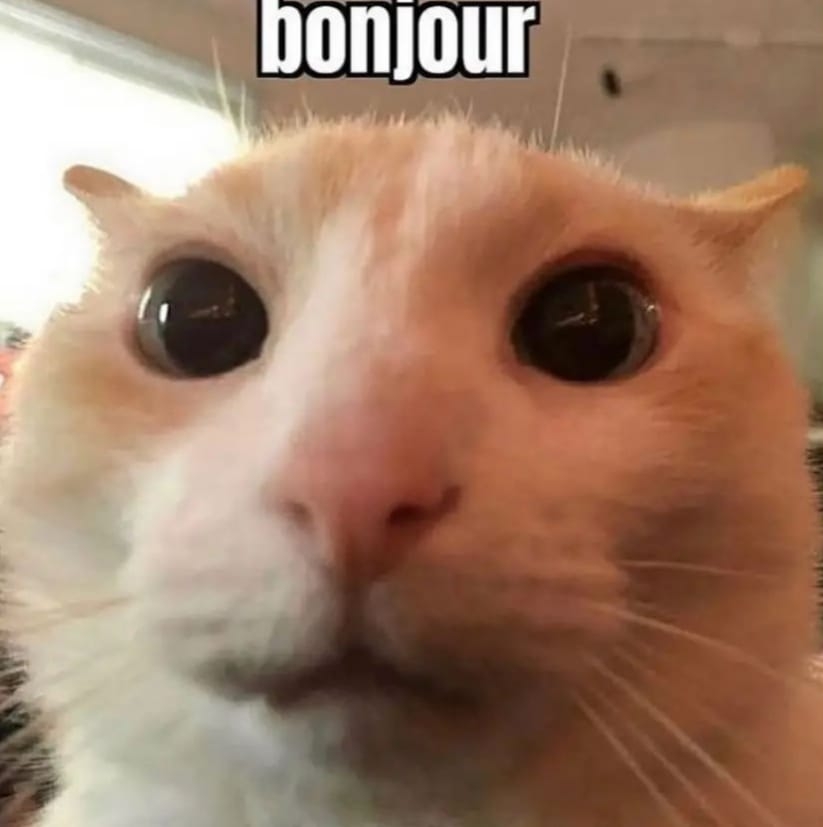 Badreddine Ftouh... en tout cas, de ce que j'ai pu trouver de lui